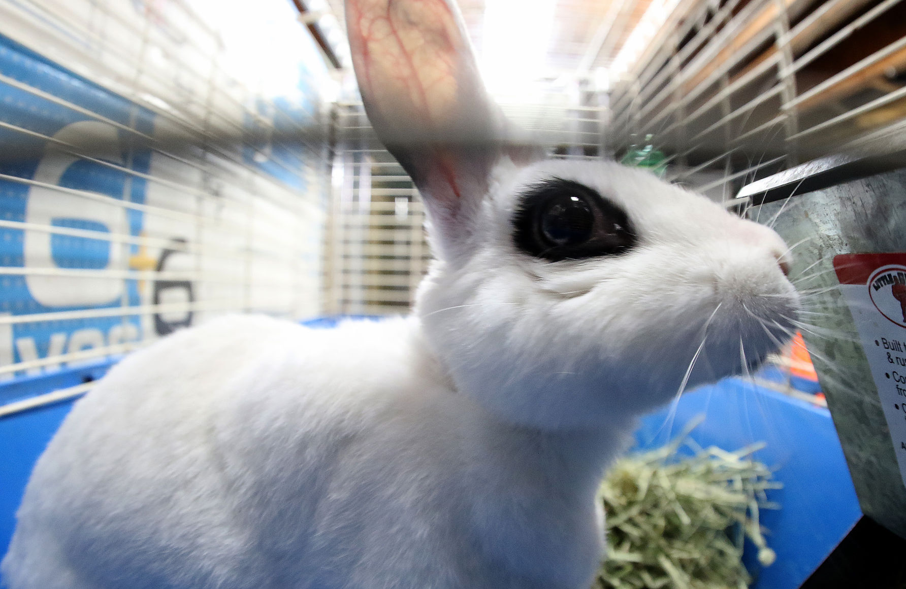 060518-qct-animal-sanctuary-021